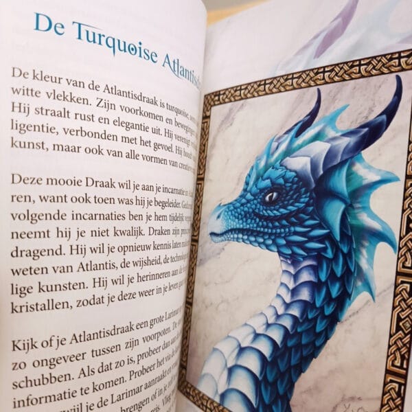 het-kleine-draken-handboek-fader blauwe draak