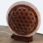 zoutlamp-levensbloem-lamp