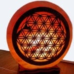 zoutlamp-levensbloem