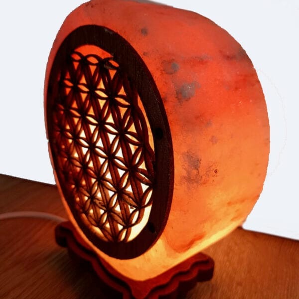zoutlamp-levensbloem-staande lamp