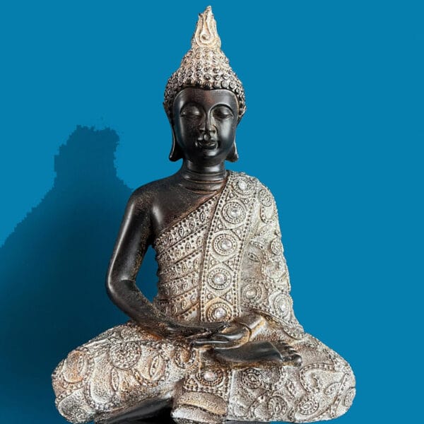 Boeddha beeld, poly, de magische wilg, bijzonder spiritueel cadeau.