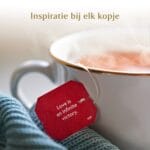 kerstthee yogitea demagischewilg dames kerstpakket